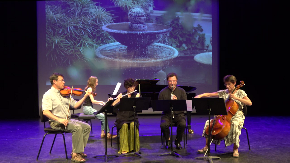 Impossible de lire la video